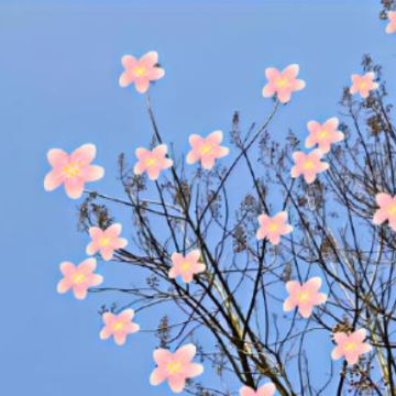 ���ֶ��صĸ���ǩ�� �ʺϳ��ڲ�����ǩ��