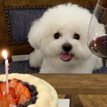 �ܾ������ļ����� �ܾ�̸���������