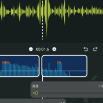 Audio��Ƶ����app