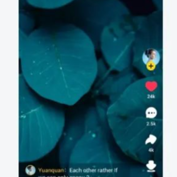Snack Video����Ƶapp