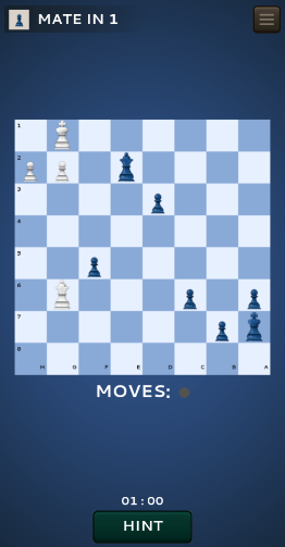 Ŀ(Chess Mania 24)