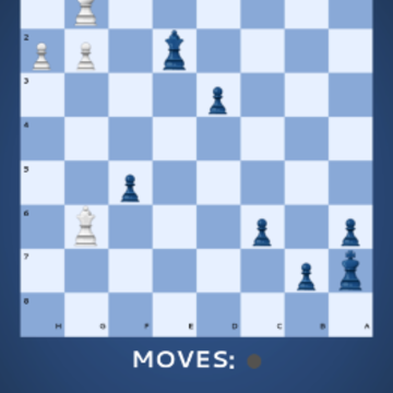 ������Ŀ���(Chess Mania 24)
