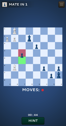 Ŀ(Chess Mania 24)