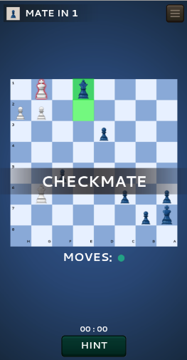 ������Ŀ���(Chess Mania 24)