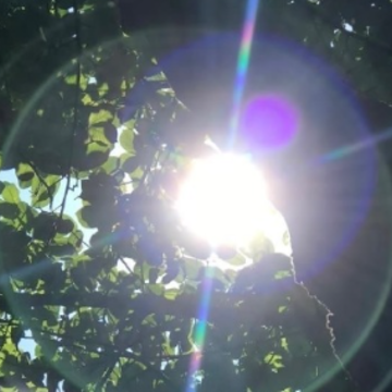 Ů���ж������˵�˵˵ �����̸�л�����˵Ķ̾�