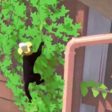 只是只小猫咪游戏 只是只小猫咪游戏
