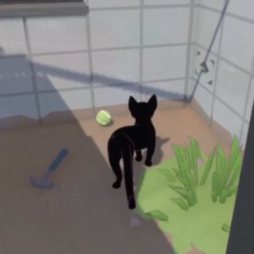 只是只小猫咪游戏 只是只小猫咪游戏