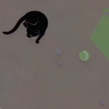 只是只小猫咪游戏 只是只小猫咪游戏