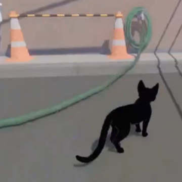 只是只小猫咪游戏 只是只小猫咪游戏