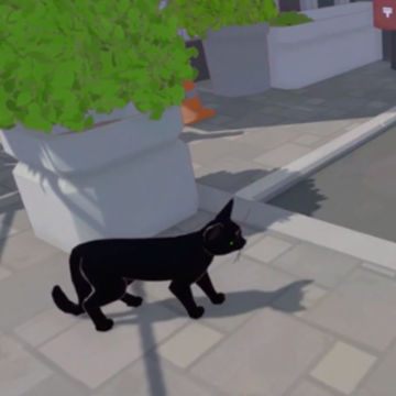 只是只小猫咪游戏 只是只小猫咪游戏