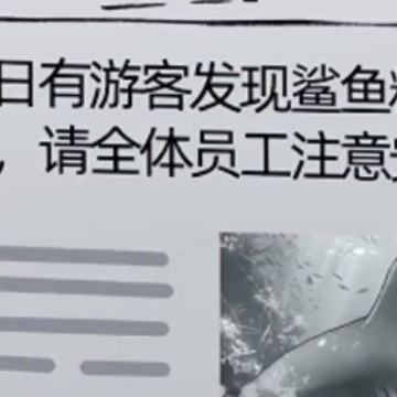 鲨鱼怪谈游戏 鲨鱼怪谈游戏