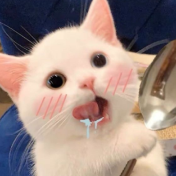 ������������������ �����ڵ��ǳƴ�ȫ