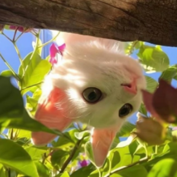 �����ʼ��ߵ�΢������ �����ױ���ע�Ĵ����ǳ�