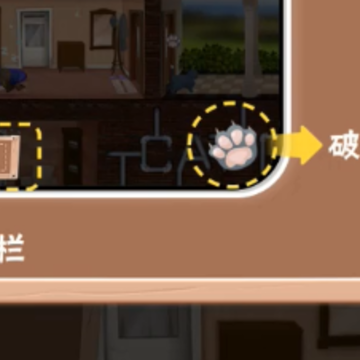 拆家整蛊猫 拆家整蛊猫