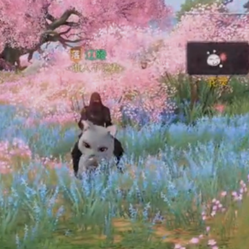 天谕手游单机版 天谕手游单机版