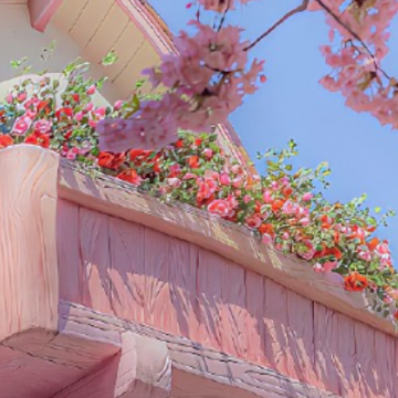 �ر��������Խ��Խ�����İ� �ܶ��ص�ק����¼