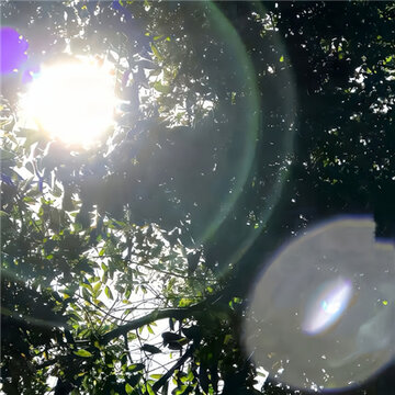�����µ��Ķ�΢��˽�ر���ͼ �������ʱ������Ϊ������׼��