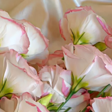 �Ź��Լ����İ��߼� �Զ�������С���İ�