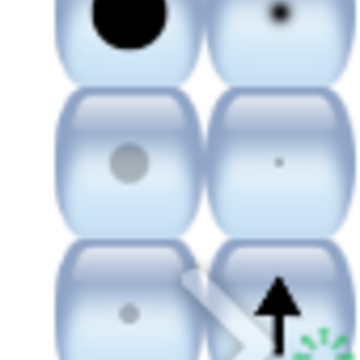TuxPaint��װ