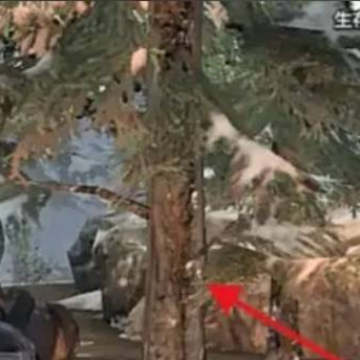 源战役小米版 源战役小米版