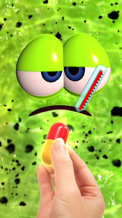 �ҵĳ���ʷ��ķ����