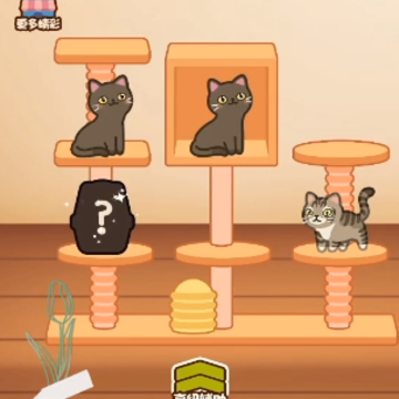 猫星人最强 猫星人最强