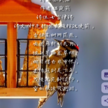 �����簲