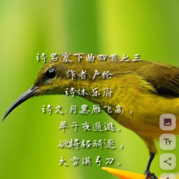 �����簲