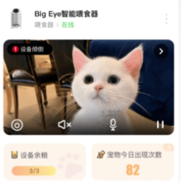 宠陪陪app 宠陪陪app