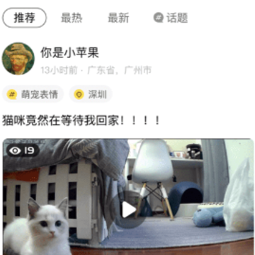 宠陪陪app 宠陪陪app