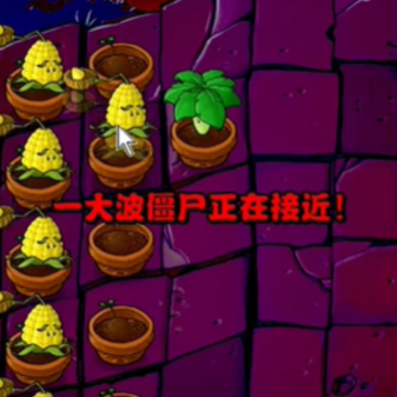 PvZ������֮԰
