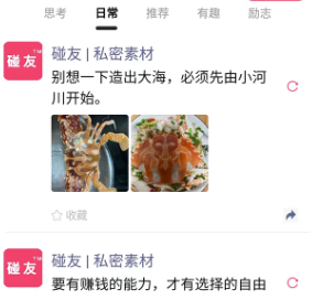 碰友 碰友