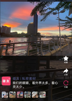 碰友 碰友