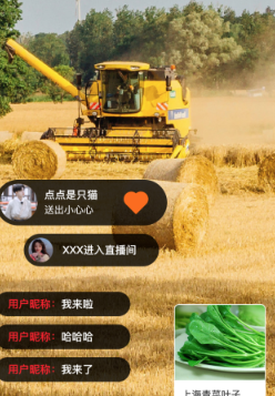 黄河鸟商城app 黄河鸟商城app
