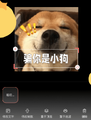 八斗图app下载 八斗图app下载