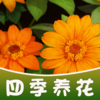 �ļ�������Ϸv1.0.2 �����