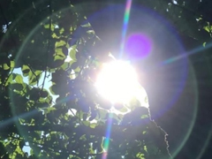 Ů���ж������˵�˵˵ �����̸�л�����˵Ķ̾�