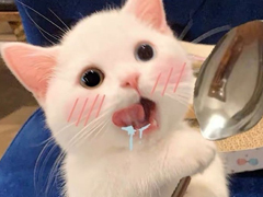 ������������������ �����ڵ��ǳƴ�ȫ