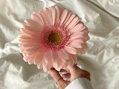 �߼���������С������ �Ƚ��ټ��������ǳ�
