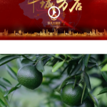 陈皮指数 陈皮指数