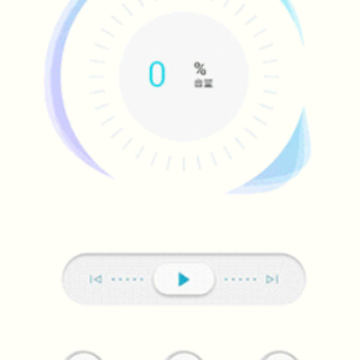 233621app