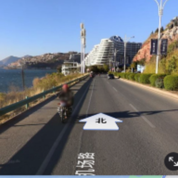 ����ʨ����app