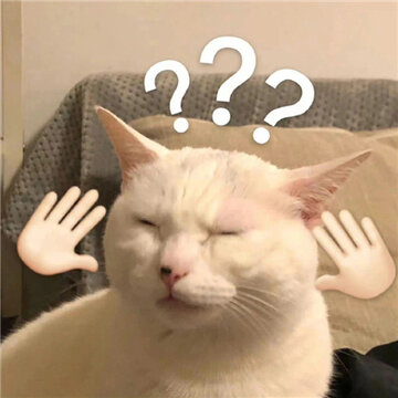 可爱系列又很搞怪的表情 我和我的小伙伴惊呆了 可爱系列又很搞怪的表情 我和我的小伙伴惊呆了