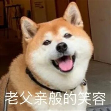 可爱系列又很搞怪的表情 我和我的小伙伴惊呆了 可爱系列又很搞怪的表情 我和我的小伙伴惊呆了