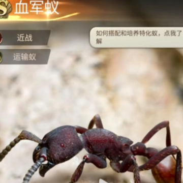 小小蚁国37手游 小小蚁国37手游