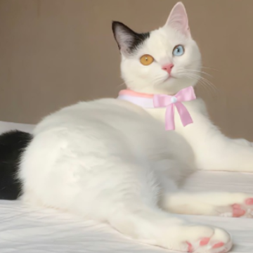 �˸�ǩ����ȫ������� ��������emo��ǩ��