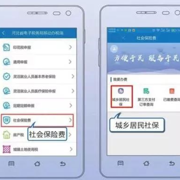 河北税务养老保险缴费下载 河北税务养老保险缴费下载