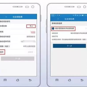 河北税务养老保险缴费下载 河北税务养老保险缴费下载