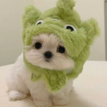 �������޵�ɹ������Ȧ�İ� �°�߼�С�ڵ�ɹ����¼