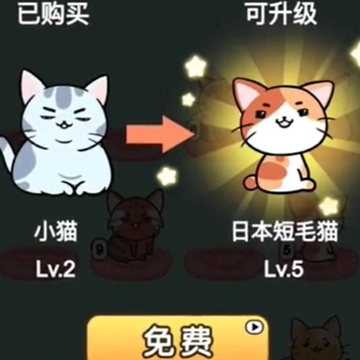猫咪趣味合成 猫咪趣味合成